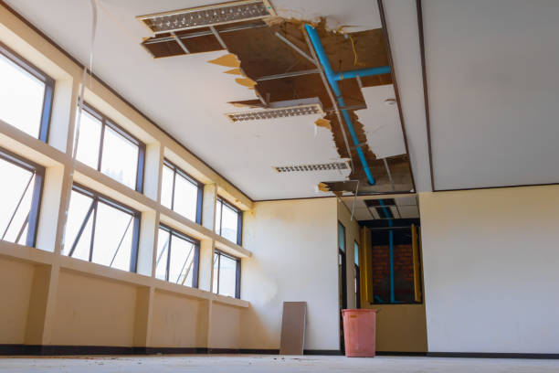 Best 24/7 water damage repair  in Cottleville, MO