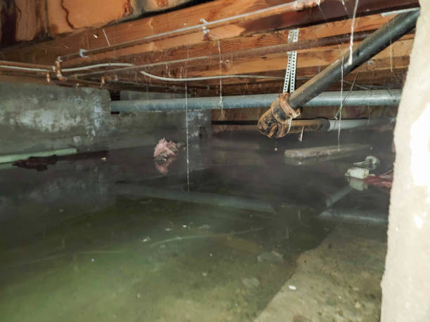 Best 24-hour water damage restoration  in Cottleville, MO
