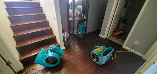Reliable Cottleville, MO Water damage restoration Solutions