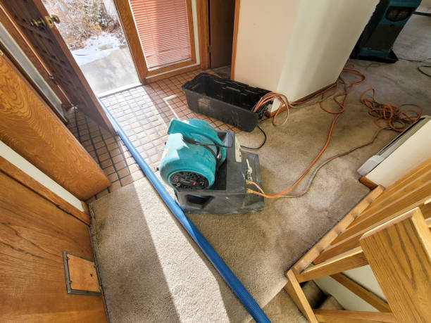 Best Water damage restoration near me  in Cottleville, MO