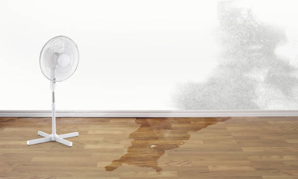 Best Fire Damage Restoration  in Cottleville, MO