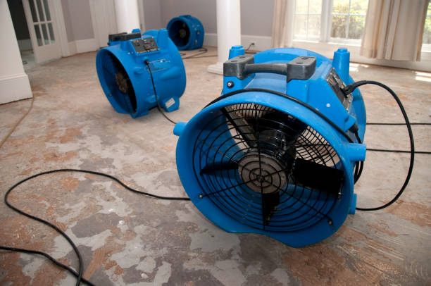 Best Sewage cleanup and water damage restoration  in Cottleville, MO