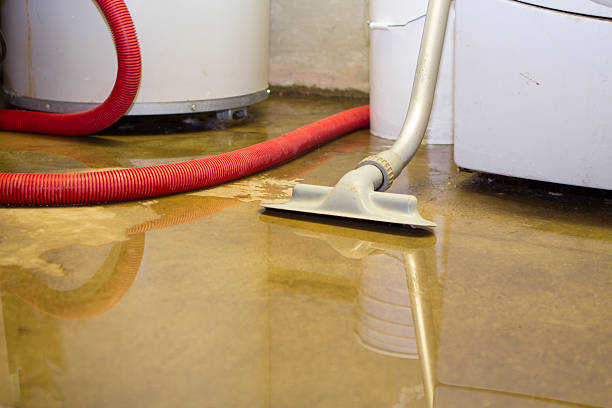  Cottleville, MO Water damage restoration Pros
