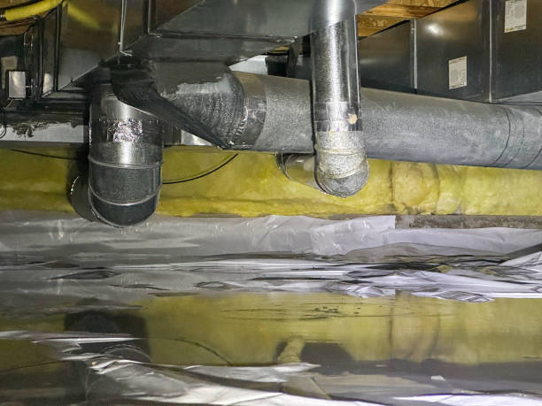 Best Water damage restoration company  in Cottleville, MO
