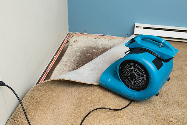 Best Flooded house restoration  in Cottleville, MO